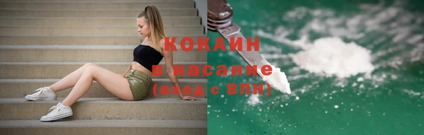 крисы Медвежьегорск