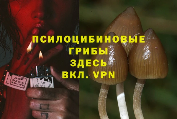 кокаин колумбия Бородино